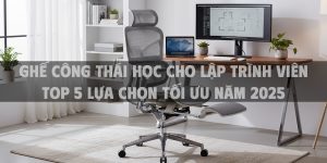 Ghế Công Thái Học Cho Lập Trình Viên Top 5 Lựa Chọn Tối Ưu Năm 2025