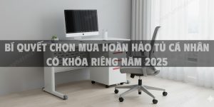 Bí Quyết Chọn Mua Hoàn Hảo Tủ Cá Nhân Có Khóa Riêng Năm 2025