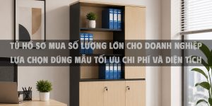 Tủ hồ sơ mua số lượng lớn cho doanh nghiệp lựa chọn đúng mẫu tối ưu chi phí và diện tích